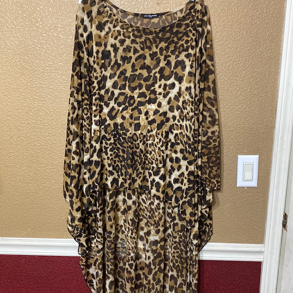 Beautiful cheetah shrug
